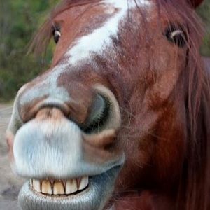 Meet your Posher, Joanna